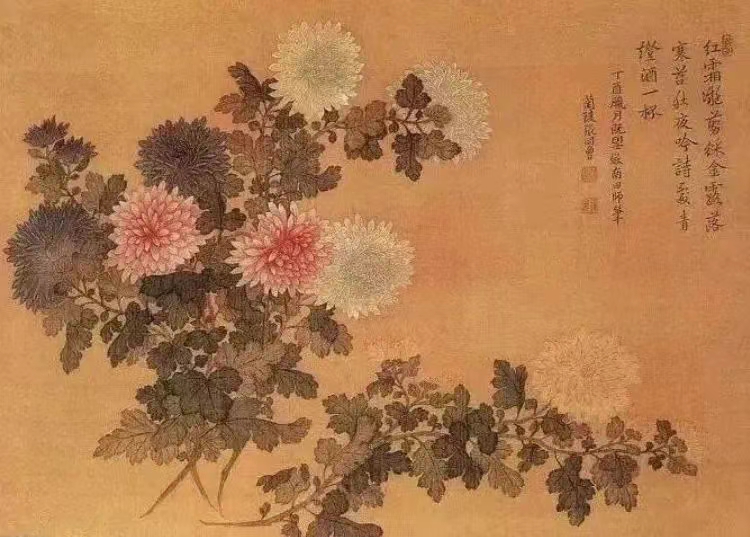 谈球吧体育官网入口
