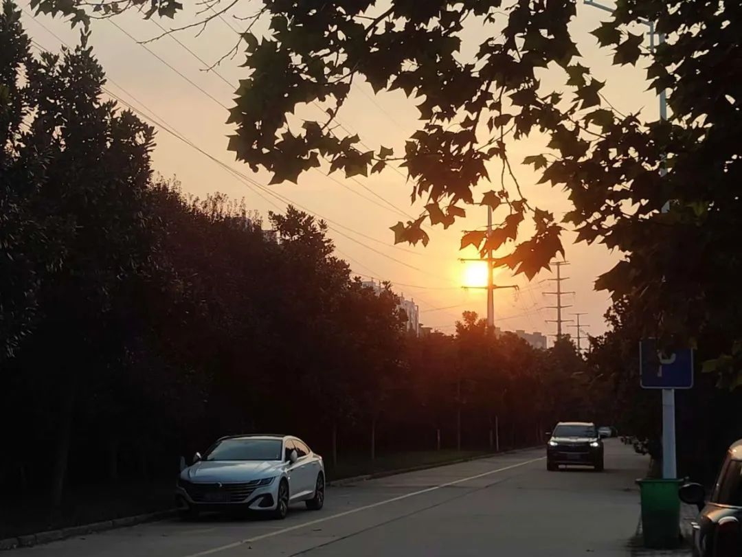 谈球吧体育官网入口