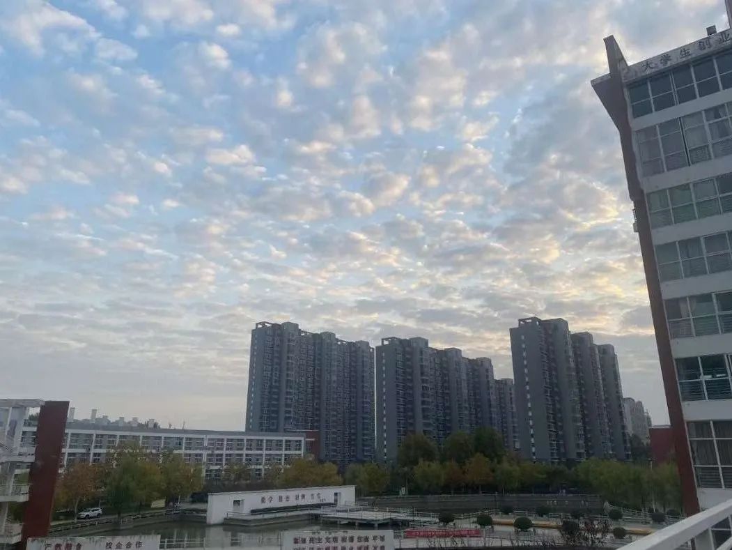 谈球吧体育官网入口