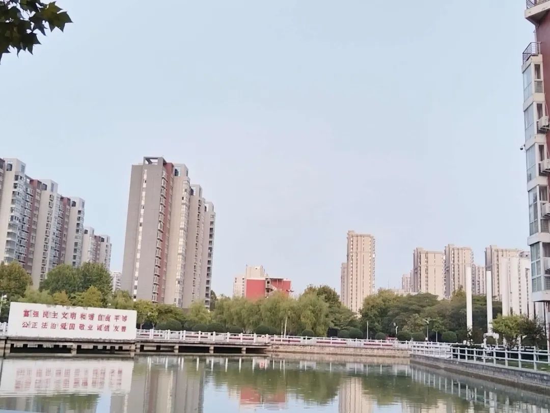谈球吧体育官网入口