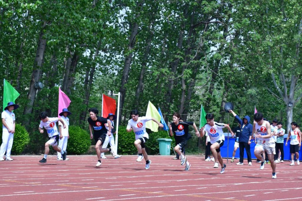 谈球吧体育官网入口