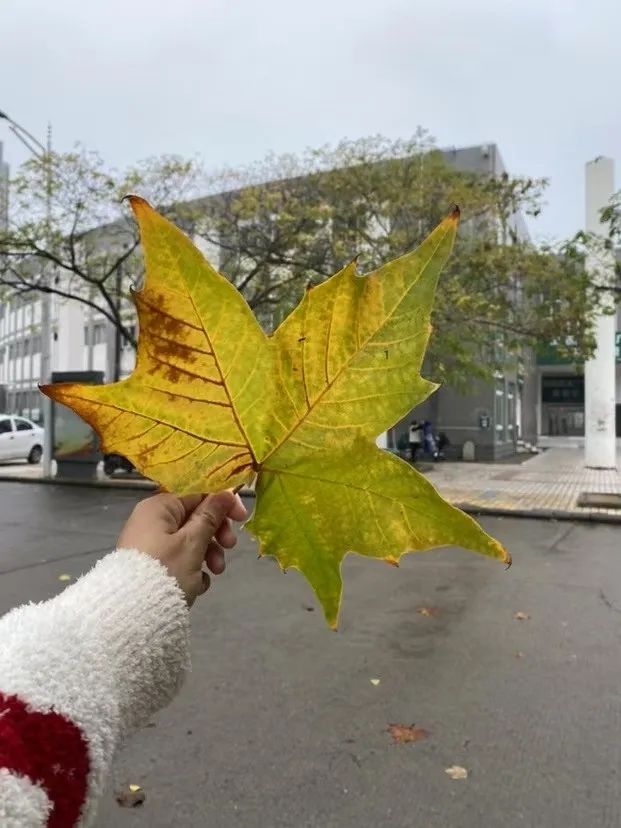 谈球吧体育官网入口