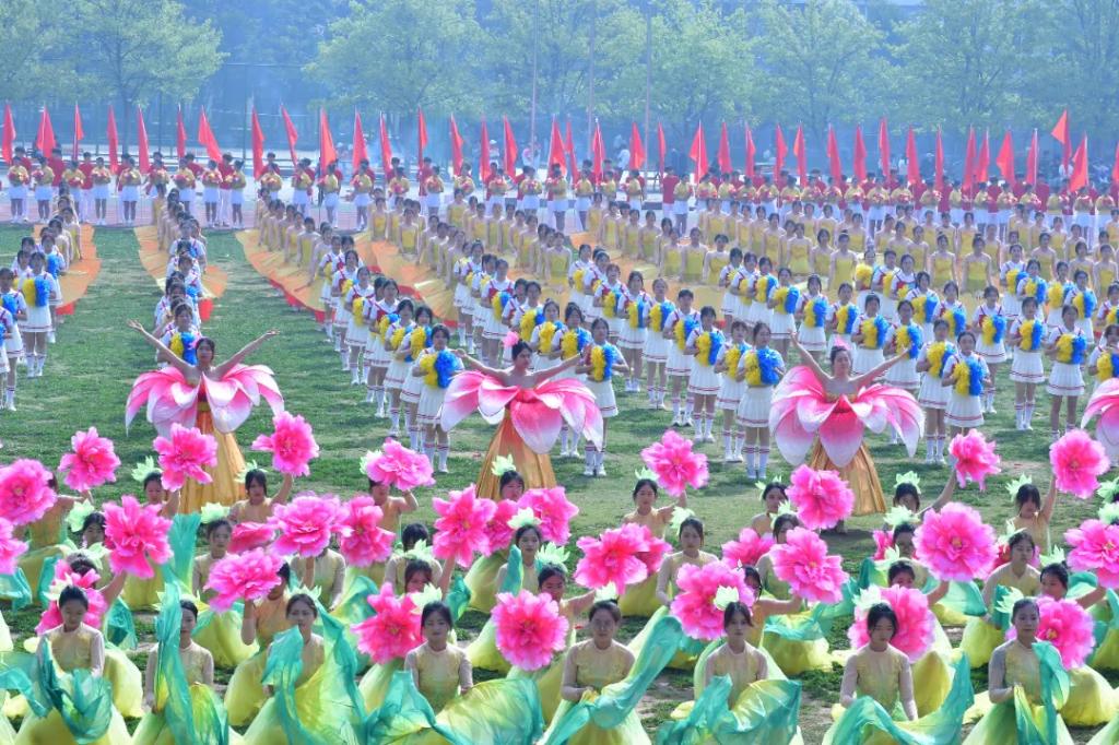谈球吧体育官网入口