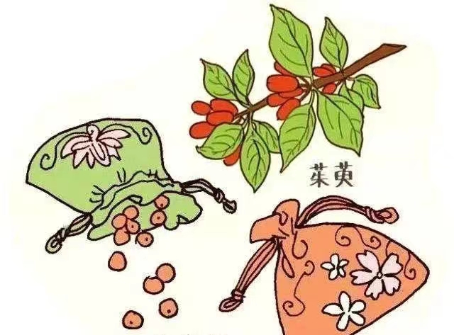 谈球吧体育官网入口