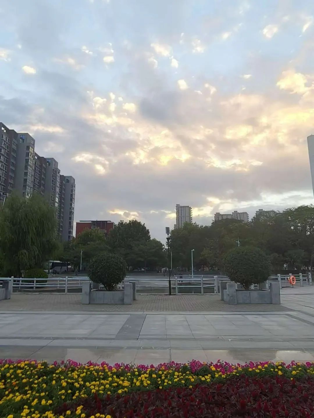 谈球吧体育官网入口