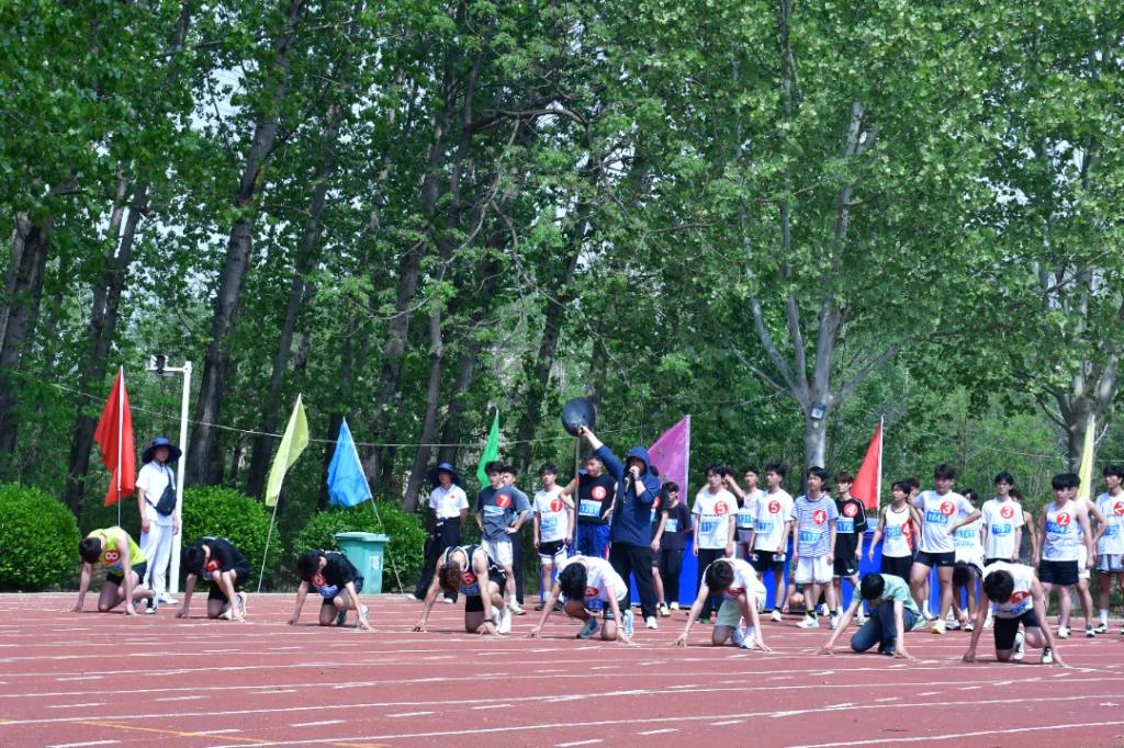谈球吧体育官网入口