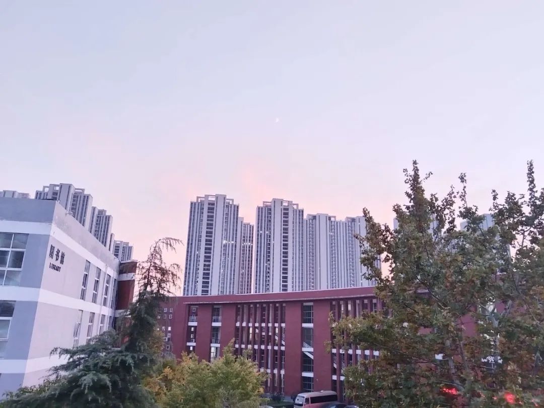 谈球吧体育官网入口