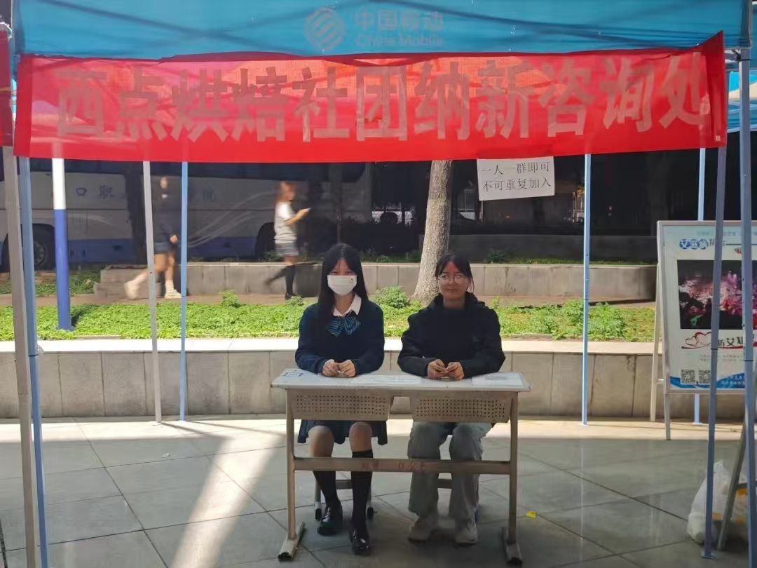 谈球吧体育官网入口