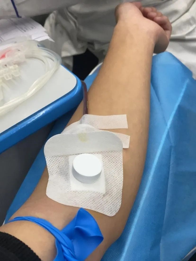谈球吧体育官网入口