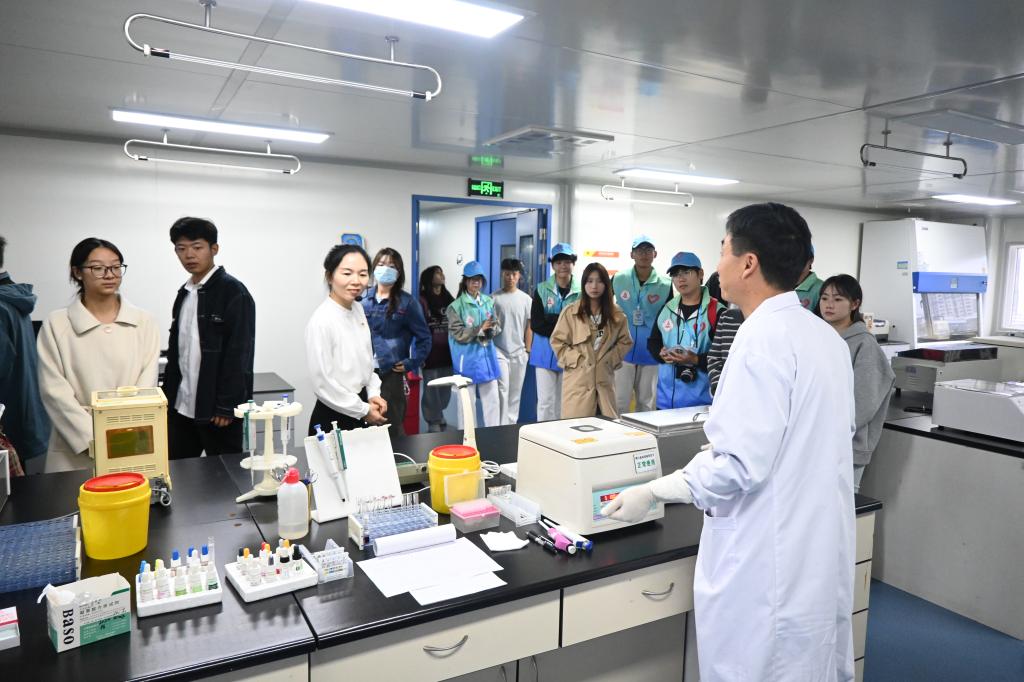 谈球吧体育官网入口