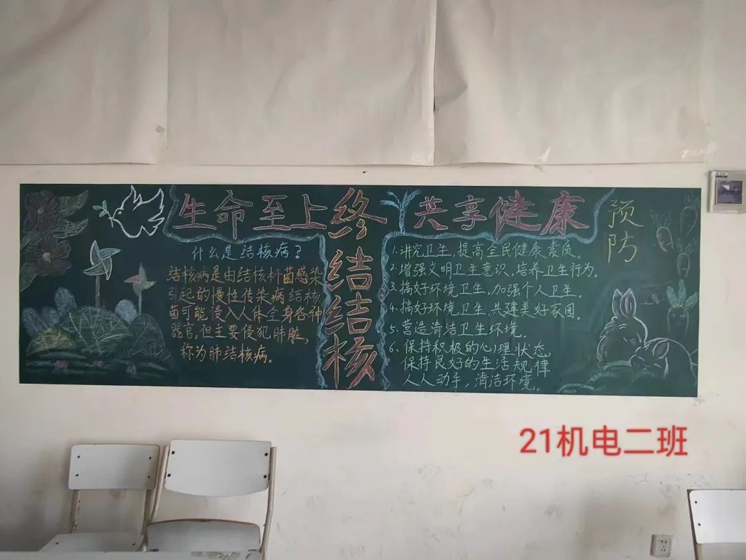 谈球吧体育官网入口