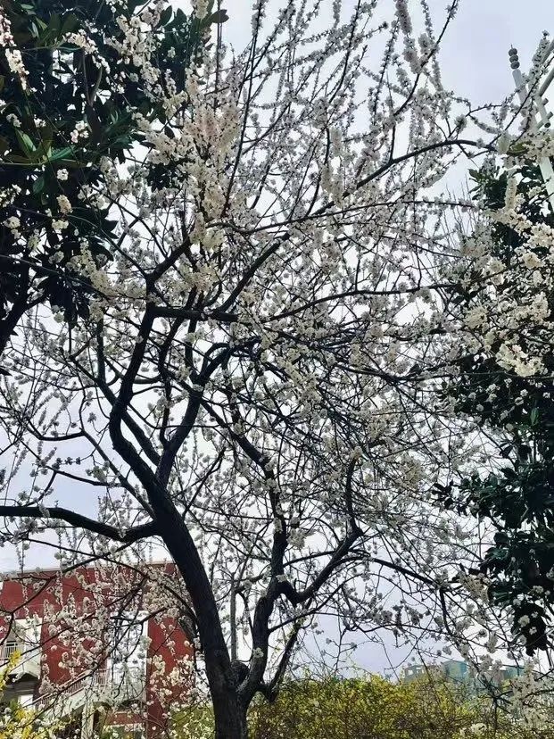 谈球吧体育官网入口